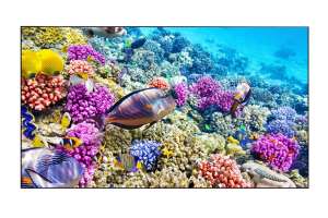  Фото видеостена 3x3 eliteboard 55" bk557ffle - фото 3