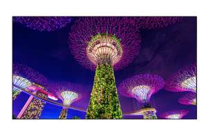  Фото видеостена 3x3 eliteboard 55" sk555fcln - фото 3