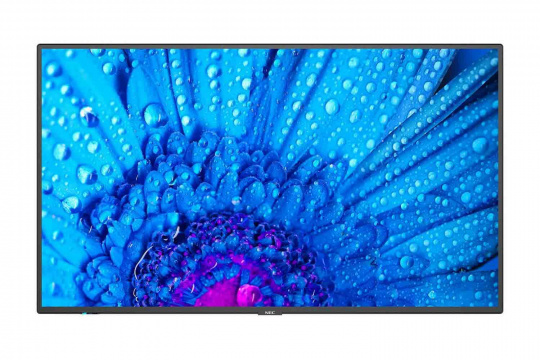 Изображение Информационный дисплей NEC 43" M431